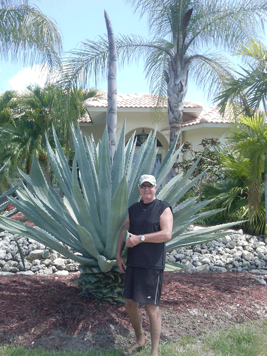 Garden1.gif